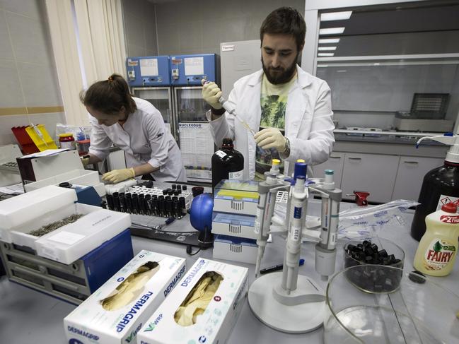 Lab technicians work at Russia's national drug-testing laboratory in Moscow. Picture: Alexander Zemlianichenko