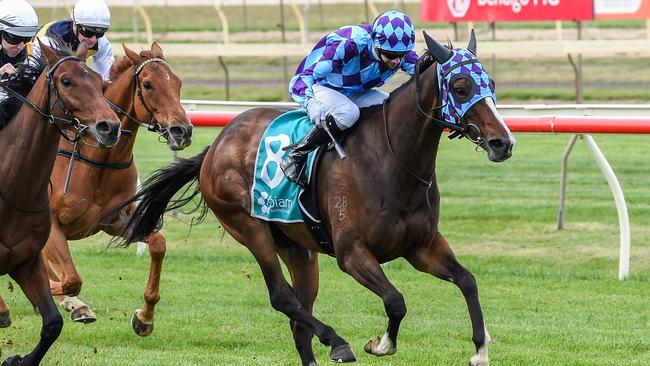 Bendigo Cup winner Princess Jenni will chase another win in the Group 2 Zipping Classic.