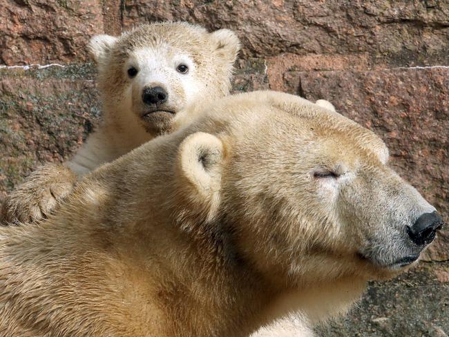 Family ... Fiete with his mother Vilma. Picture: AFP