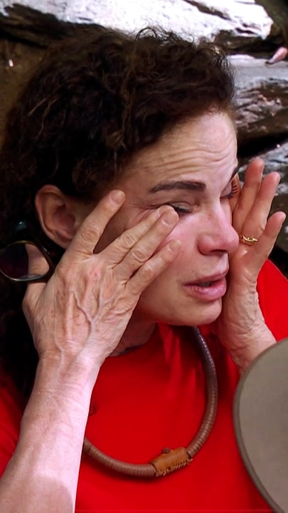 Sigrid Thornton gets emotional over her battle with ADHD