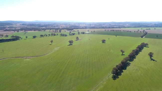 The Phillips family have sold the three-farm Castle Hill Aggregation spanning 1758ha north of Parkes, NSW.