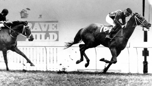 Jockey Bob Skelton gets Van Der Hum past the post