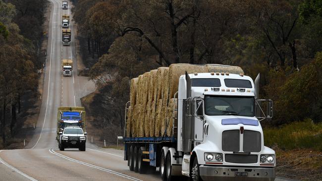 A convoy of 50 trucks transporting hay to bushfire affected communities in East Gippsland. Picture: AAP Image/James Ross