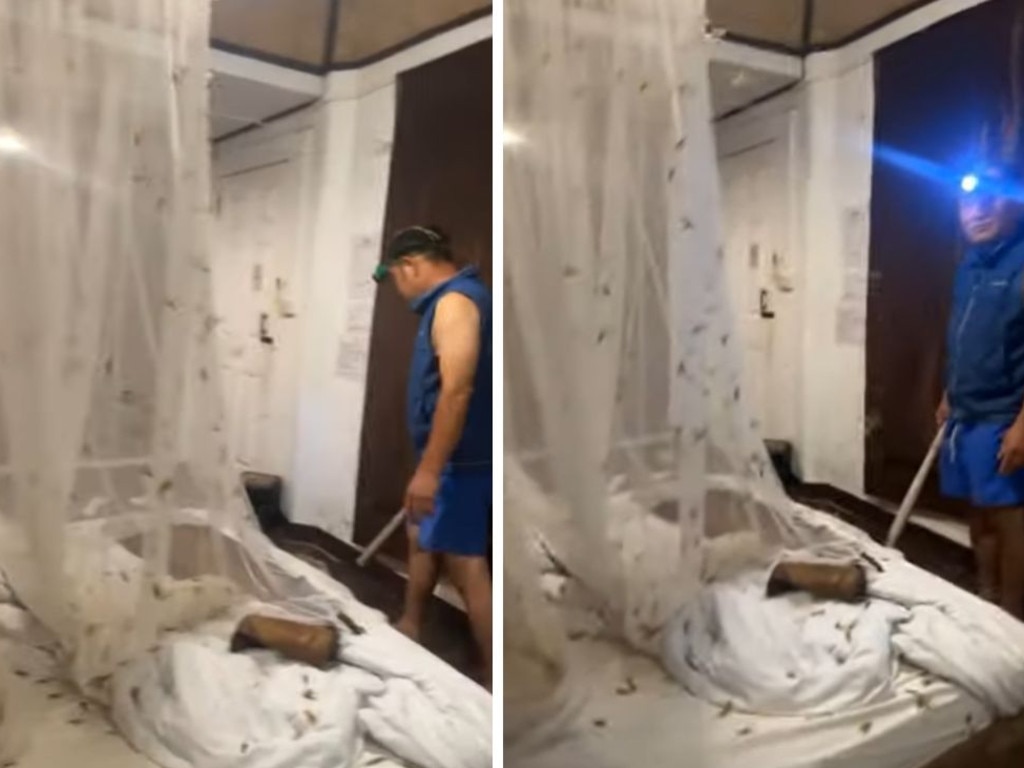 Thousands of moths infested a Thailand hotel room, as a hotel employee attempted to swat them with a bat. Picture: Supplied.