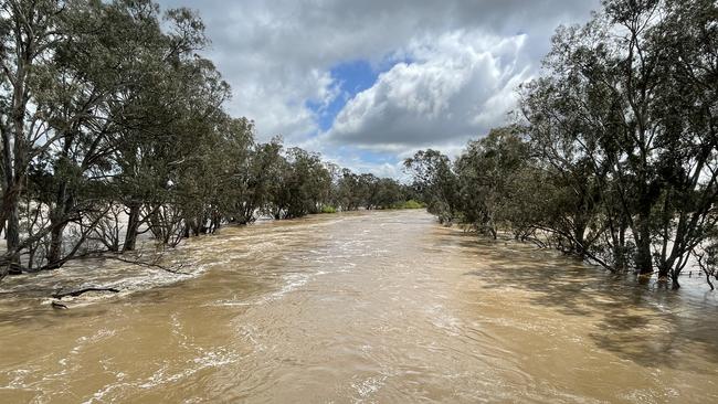 The flooded Goulburn River on the road to Shepparton.