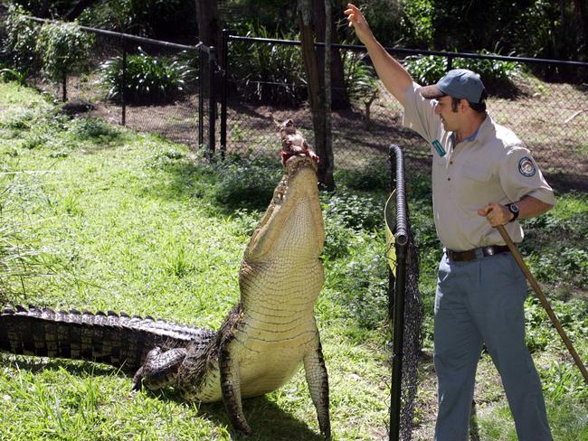 David Fleay Wildlife Park Entrance Fee