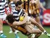 Hawks, Cats fighting dangerous tackle bans