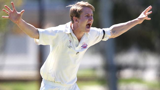 Guy Walker appeals for a wicket while playing for Footscray in 2013. Picture: Glenn Daniels