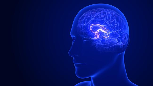 Cambridge University scientists found that the hypothalamus – the centre of the brain’s limbic system – is significantly larger in people who are overweight. Picture: istock