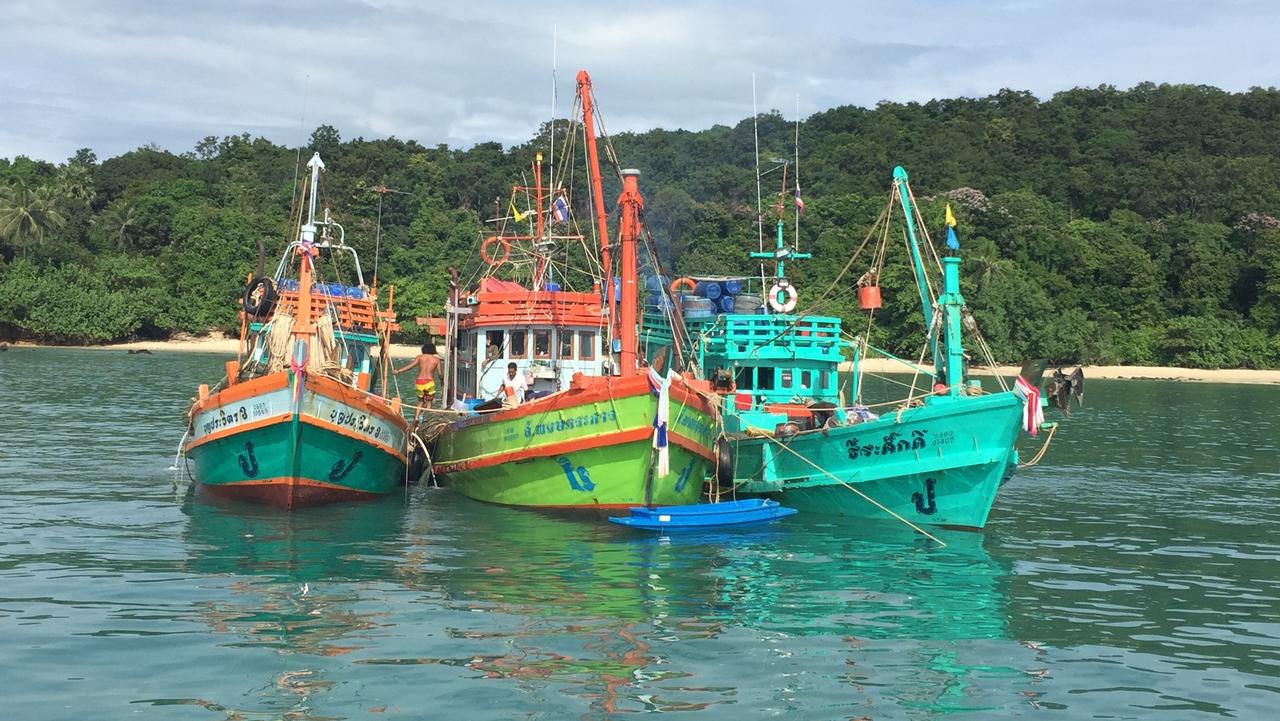 Squid boat fishing fleet heading out from Phuket - free stock photography