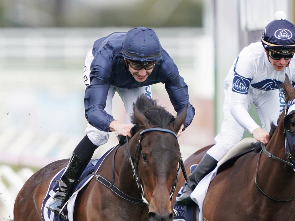 Declan Bates rides Gamay (AAP/Michael Dodge)