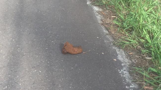 Images of human faeces dumped by a serial excretor outside a Glenhaven Childcare centre.