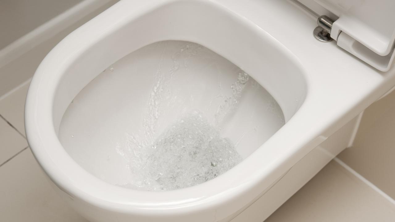 New York man cuts off penis, throws it in toilet | news.com.au ...