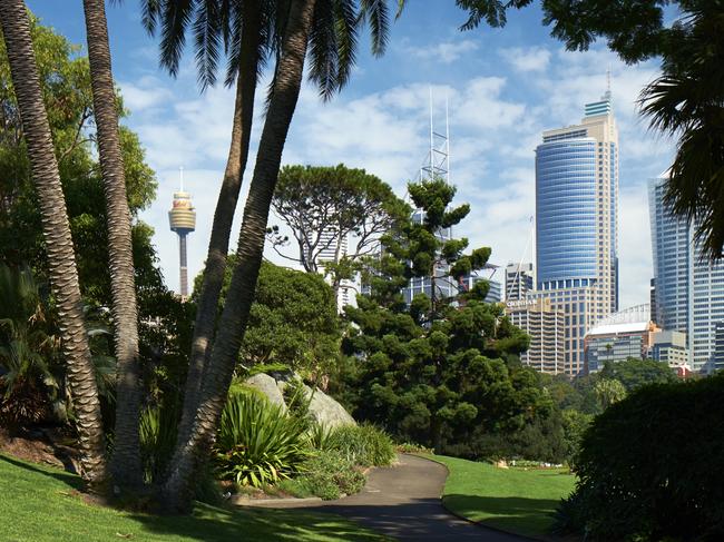 Looking through the trees of Sydney's beautiful Royal Botanic Gardens towards the impressive towers of the Central Business District beyond.Neighbourhood Circular QuayEscape Oct 2 Photo Istock