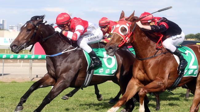 Aquis Park. Race 3 winner number 6, VAINITY. Jockey is Jed Hodge, trainer is Helen Page.Photo by Richard Gosling