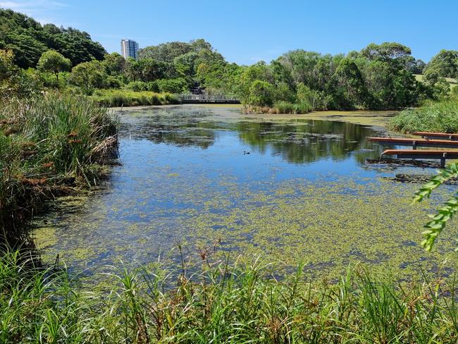 Taken at Sydney Park, 4km south of Sydney CBD