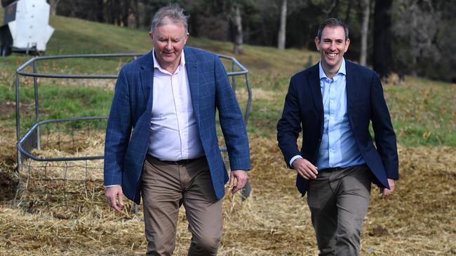 Shadow Treasurer Jim Chalmers and Leader of the Opposition Anthony Albanese visit a beef cattle farm in the NSW south coast town of Carbargo in 2020. Picture: AAP Image/Mick Tsikas