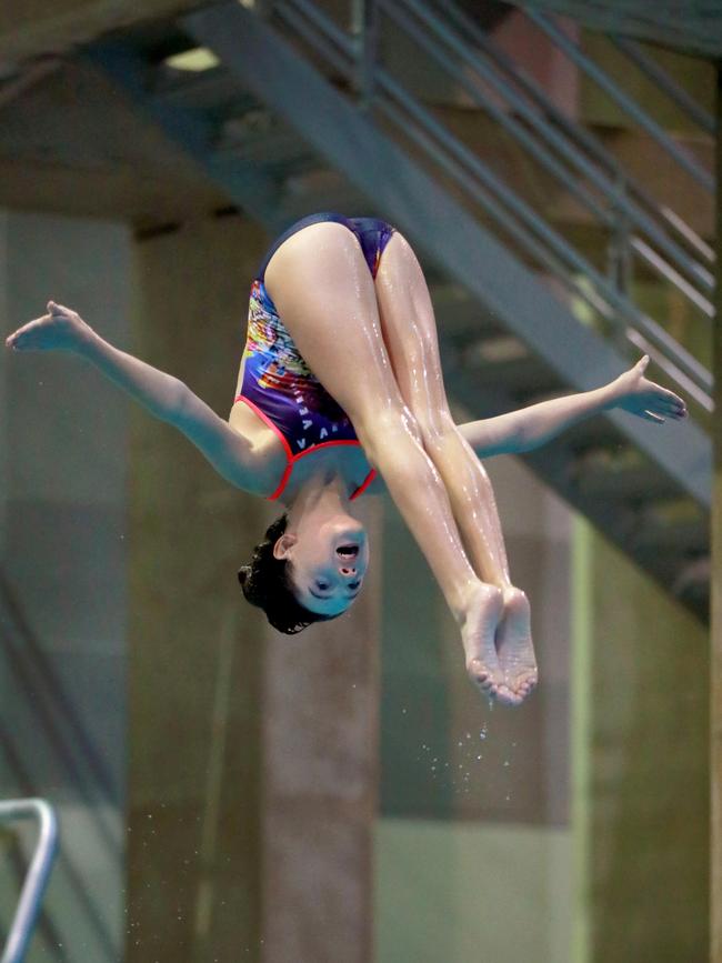 Sarah Malcolm in the midst of a dive at Sydney Olympic Park. Picture: Angelo Velardo