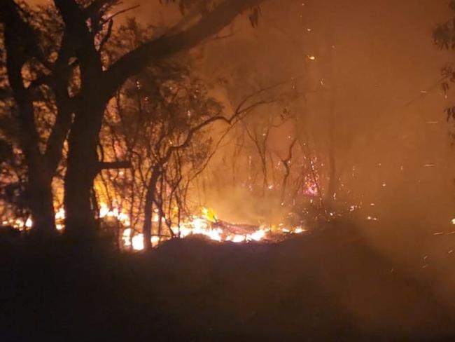 Conservation Ecology Centre posted - Cape Otway has now been downgraded to ‘Watch and Act’. , Picture: Shayne/Facebook