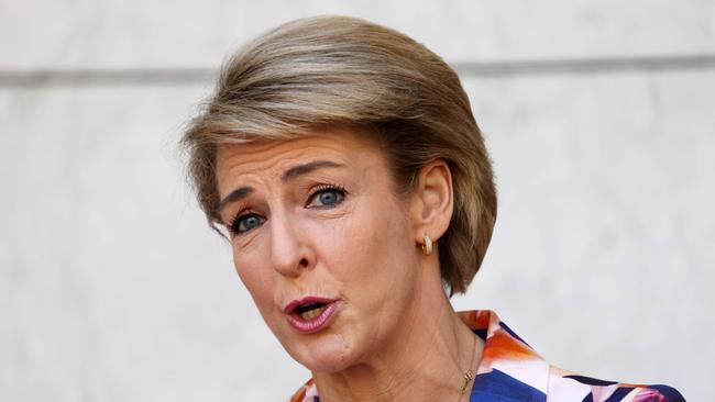 Acting Industrial Relations Minister Michaelia Cash. Picture: Gary Ramage