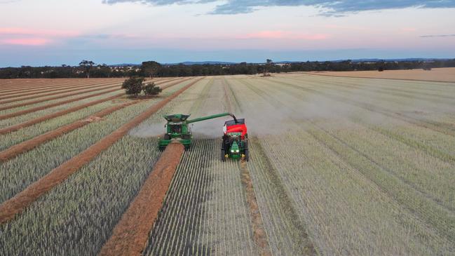 Carrs Plains is regarded as the original home of the Polwarth sheep breed, first known as the Dennis Comebacks, while also producing rotational winter crops.