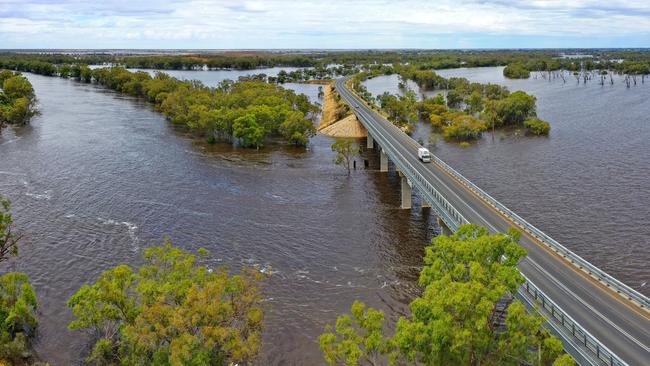 The flooded River Murray at Kingston on Murray. Picture: Grant Schwartzkopff