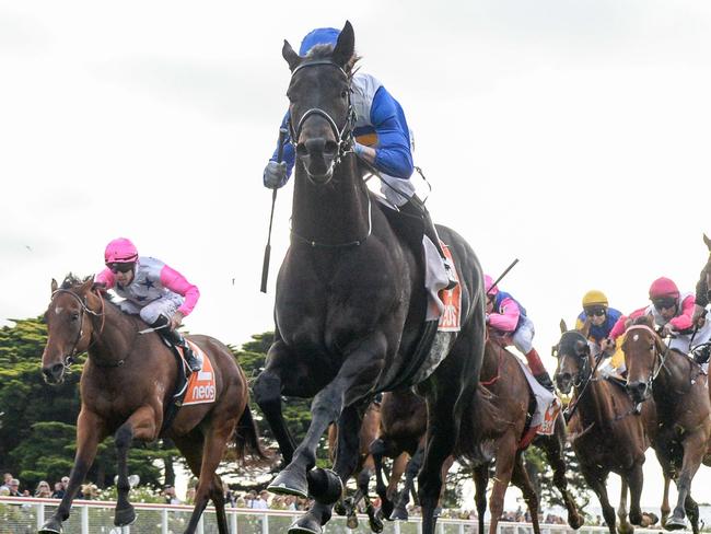 Jigsaw ridden by Daniel Moor wins the Neds Hareeba Stakes  at Mornington Racecourse on April 22, 2023 in Mornington, Australia. (Photo by Brett Holburt/Racing Photos via Getty Images)