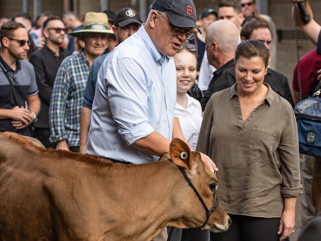 Scott Morrison pets a cow as his wife and kids watch on. Picture: Jason Edwards