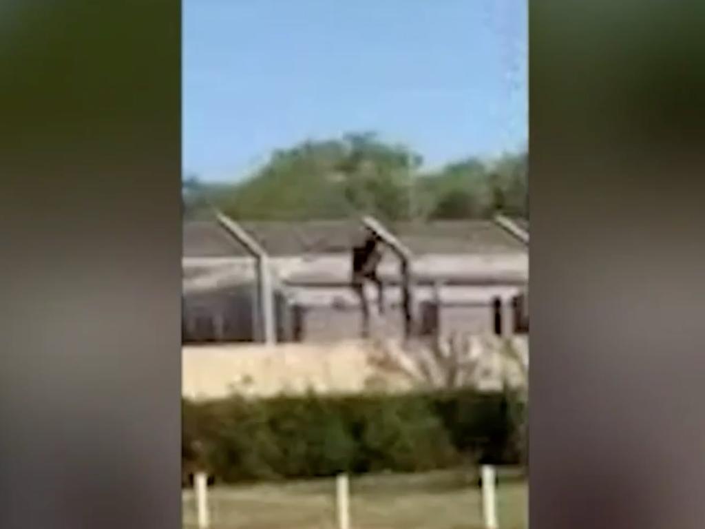 The 27-year-old scaled the fence of Broome Regional Prison. Picture: 9News