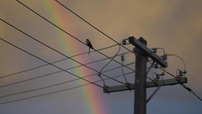 Instead of advancing forward, decisions based on green ideology have got us going back to the dark ages. (Pic: AAP Image/Lukas Coch)