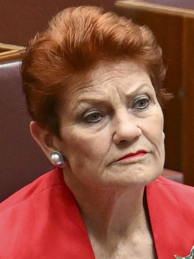 Senator Pauline Hanson. Picture: NewsWire/Martin Ollman