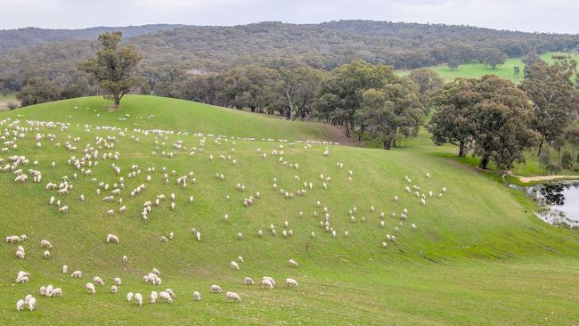 The undulating Crofton Park, located in central Victoria, has been listed for sale by the Brougham family.