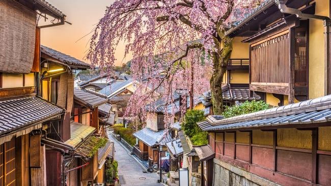 Kyoto during cherry blossom season.