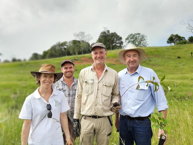 Liz Caddick, Dave Rawlings, Lindsay Murray and Peter Boyd. Byron Shire Council is appealing to farmers to consider planting koala food trees.