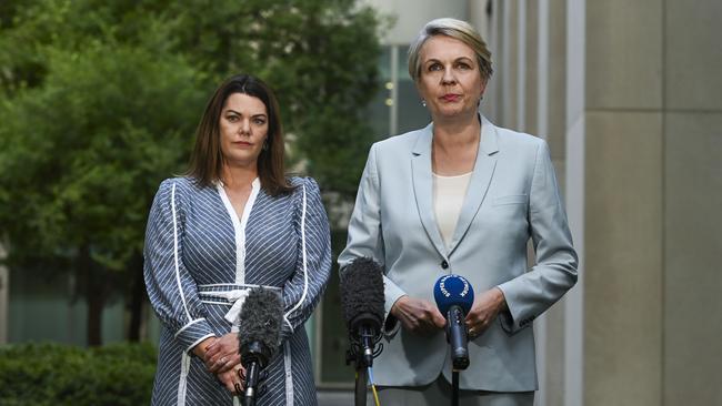 Federal Water Minister Tanya Plibersek and Greens senator Sarah Hanson-Young hold a press conference at Parliament House in Canberra after striking the buyback deal. Picture: Martin Ollman