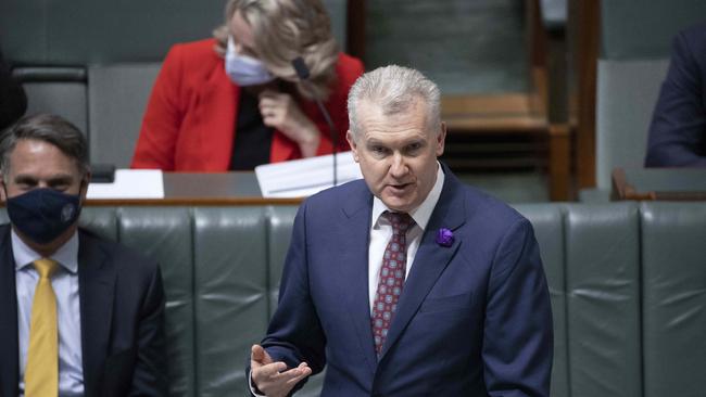 Minister for Employment and Workplace Relations Tony Burke during Question Time. Picture: NCA NewsWire / Gary Ramage