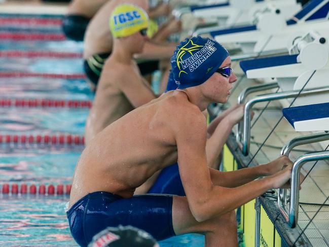 Marlin Coast’s Alexander Mackay ready to take off in the 50m backstroke. Picture: Glenn Campbell