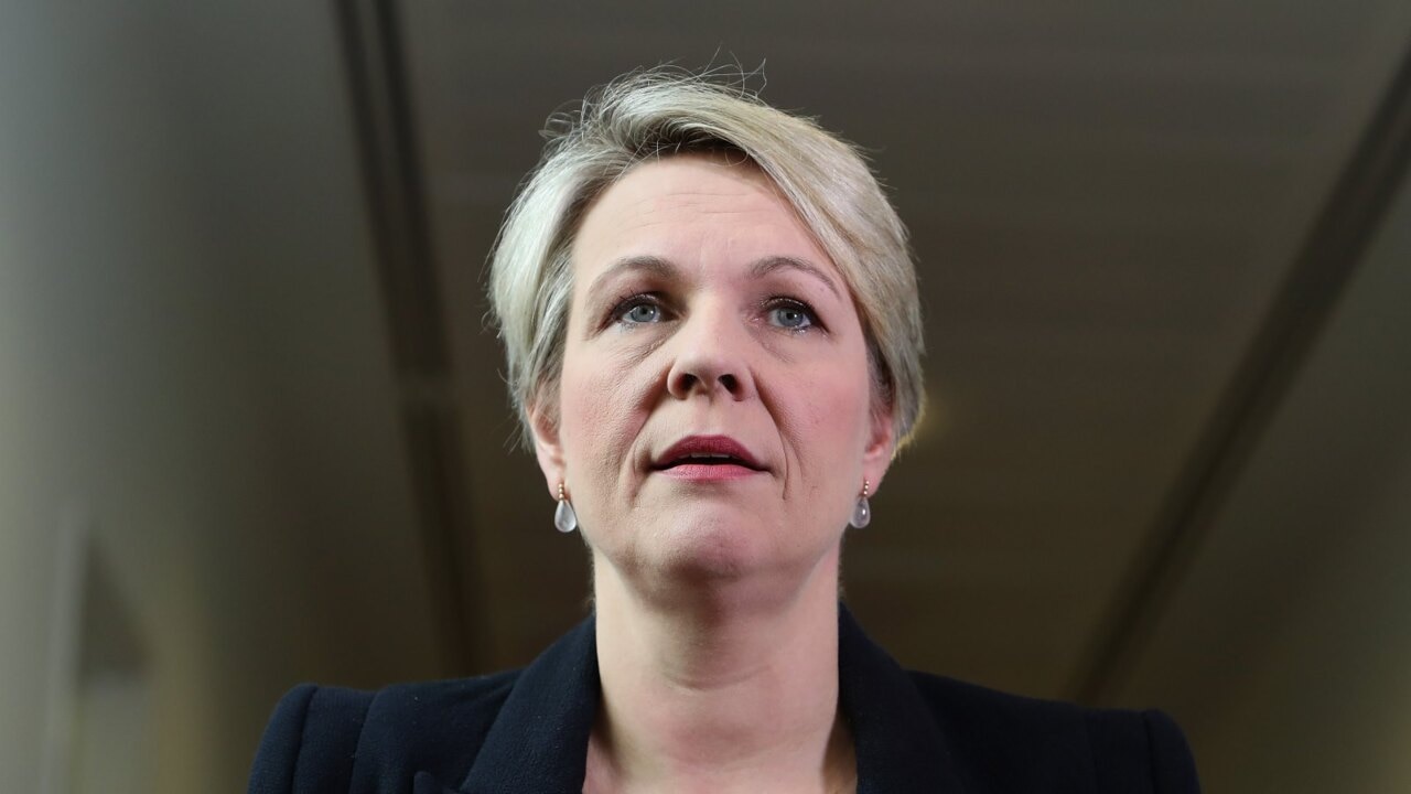 'Shocked' by Greens threat on Labor climate policy: Plibersek