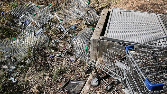 Shopping trolleys at Bonnyrigg. Picture: Carmela Roche