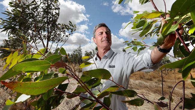 Kilter Rural chief executive and director Cullen Gunn. Picture: David Geraghty