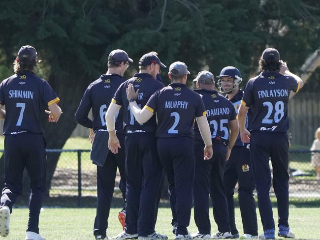 The Brighton players celebrate an Ormond wicket. Picture: Valeriu Campan