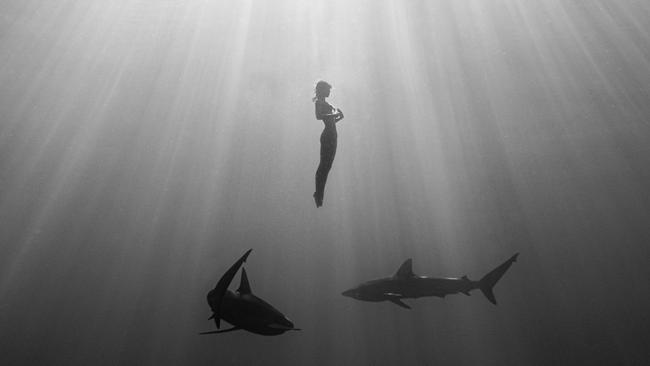 Ms Papen went swimming for 45 minutes. Picture: Benjamin Ono/Real Press/australscope