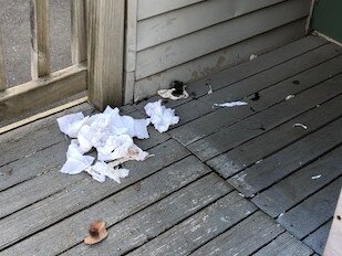 Rubbish lies outside a classroom at Glendal Primary School.