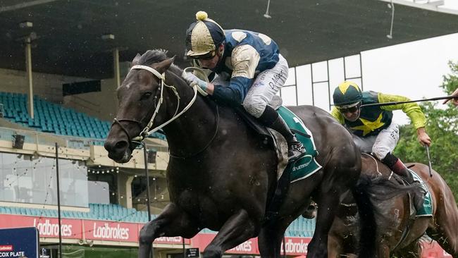 Forgot You has had an ideal prep for the Derby. Picture: Racing Photos via Getty Images