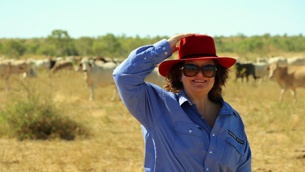 Rinehart Swoops On 171,000ha Cattle Station 