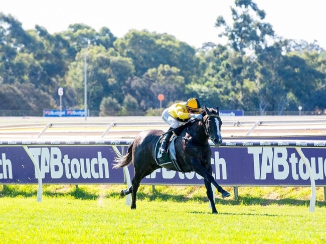 Bustling has been sold to east coast connections. Picture: Western Racepix