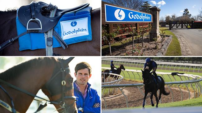 Trainer James Cummings (bottom left) at Osborne Park, Godolphin's sprawling Agnes Banks training complex.