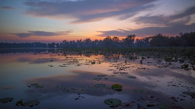 Yellow Water Billabong, Kakadu. Picture: Peter Eve/Tourism NT