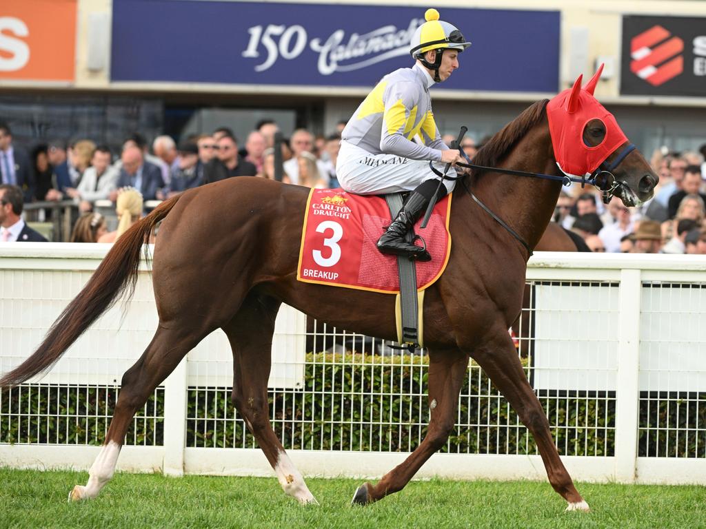 Japanese stayer Breakup is among the internationals trying to grab the Cup. Picture: Vince Caligiuri