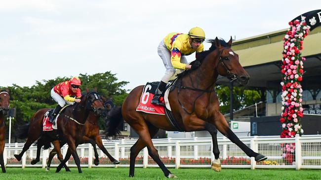 Freedom Rally could be the “forgotten” horse of the Victory Stakes. Picture: Grant Peters/Trackside Photography